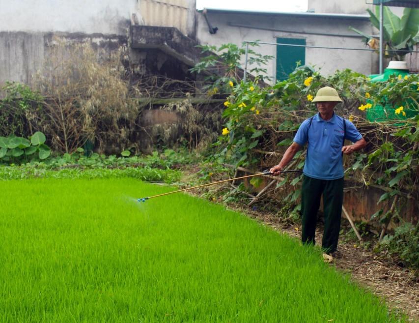 Nghệ An: Xử lý bao bì thuốc bảo vệ thực vật và nâng cao ý thức của người dân trên đồng ruộng - Ảnh 3