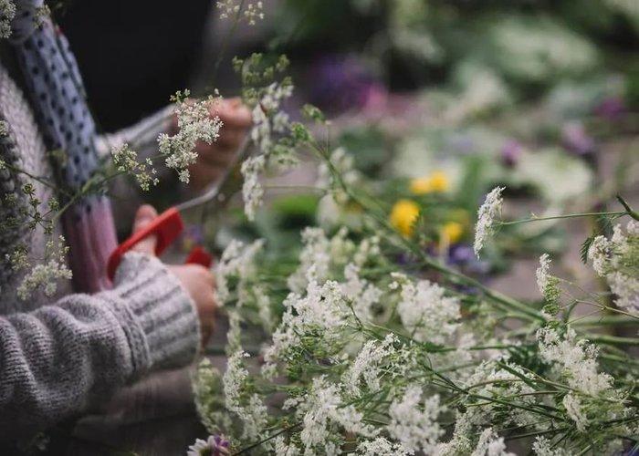 Người Thụy Điển được khuyến khích tận hưởng cuộc sống, vào rừng chơi được tặng tiền - Ảnh 4. Người Thụy Điển được khuyến khích tận hưởng cuộc sống, vào rừng chơi được tặng tiền - Ảnh 4.