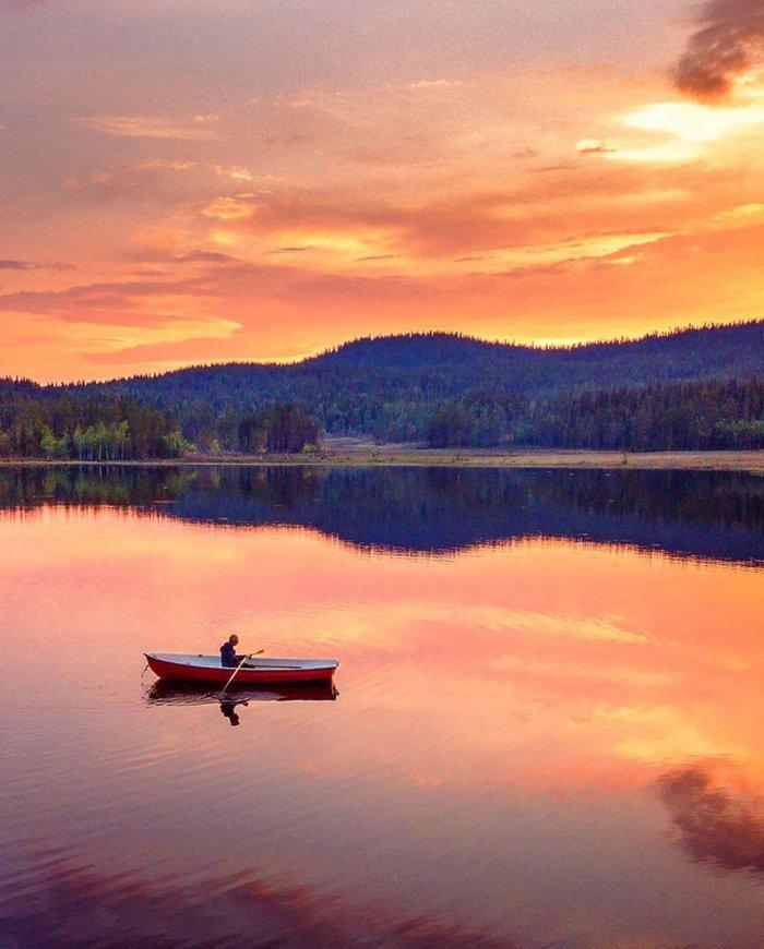 Người Thụy Điển được khuyến khích tận hưởng cuộc sống, vào rừng chơi được tặng tiền - Ảnh 2. Người Thụy Điển được khuyến khích tận hưởng cuộc sống, vào rừng chơi được tặng tiền - Ảnh 2.