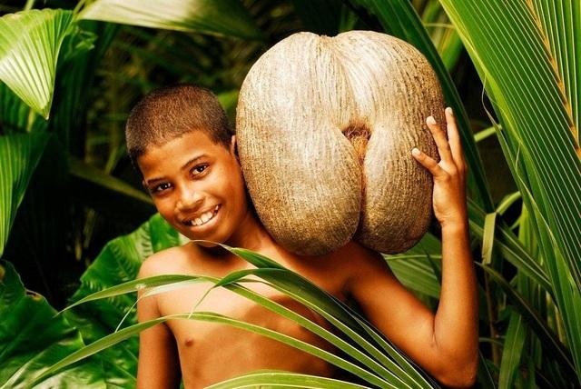 Nhỏ bé, ít ai biết nhưng đây là quốc gia có GDP bình quân đầu người cao nhất châu Phi, được mệnh danh là 'Vườn địa đàng' cuối cùng trên trái đất - Ảnh 7.