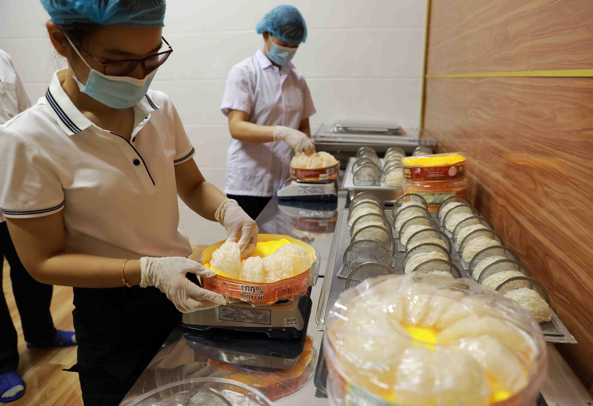 Cơ hội xuất khẩu tổ yến sang Trung Quốc - Ảnh 2. Cơ hội xuất khẩu tổ yến sang Trung Quốc - Ảnh 2.