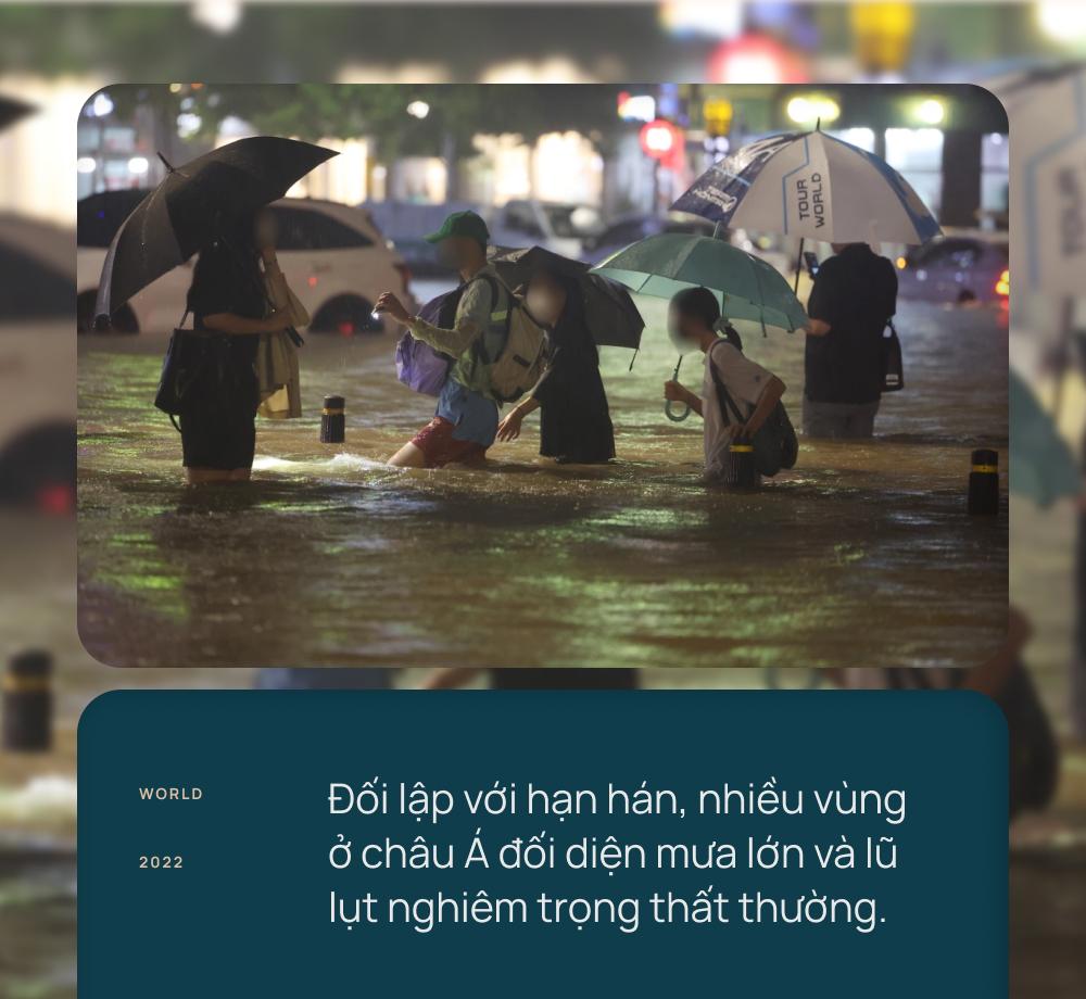 2022: Một năm buồn thế giới với vô số thiên tai và hiện tượng khí hậu cực đoan, điểm 'không thể cứu vãn' đã rất gần - Ảnh 6.