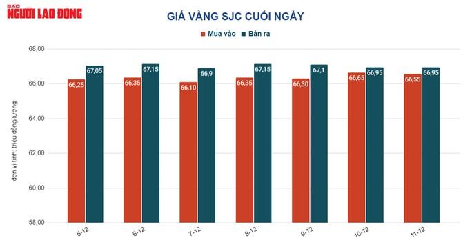 Giá vàng hôm nay 12-12: Vàng thế giới lao dốc, vàng SJC lại tăng - Ảnh 2.