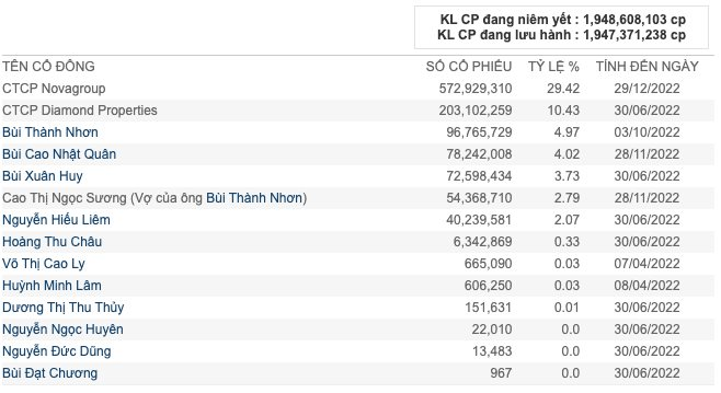 Cổ phiếu Novaland tăng liên tục, ông Bùi Thành Nhơn “bỏ túi” 1.300 tỷ trước thềm trở lại làm Chủ tịch - Ảnh 2.