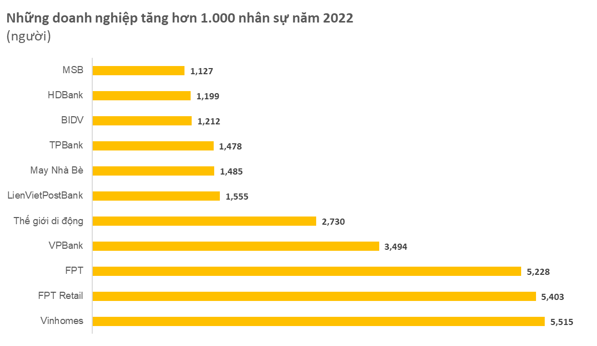 Nhiều ngân hàng tuyển thêm cả nghìn người năm 2022, Vinhomes, FPT tăng hơn 5.000 người, Đất Xanh và Thế giới Di động có động thái cắt giảm gây sốc - Ảnh 2.