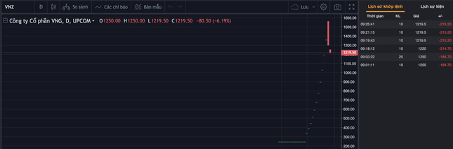 VNZ nằm sàn, nhà đầu tư bán tháo nhưng không có thanh khoản - Ảnh 1.