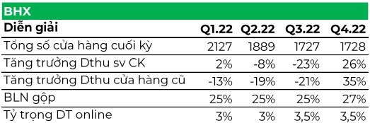 MWG đặt mục tiêu lãi ròng tối thiểu 4.200 tỷ đồng, ngưng mở mới An Khang, "dọn dẹp" chuỗi Bluetronics và AvaSprort trong năm 2023 - Ảnh 4.