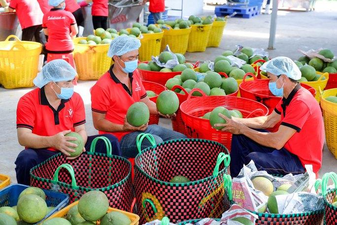 Bài toán xuất khẩu tiểu ngạch sang Trung Quốc (*): Cơ hội cho người tiên phong - Ảnh 1.