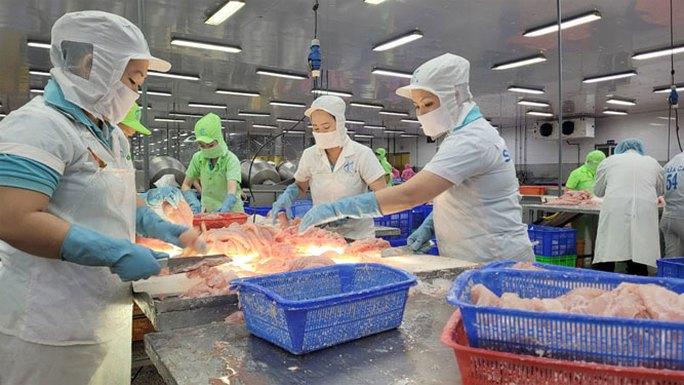 Tìm lối ra cho thủy sản xuất khẩu - Ảnh 1. Tìm lối ra cho thủy sản xuất khẩu - Ảnh 1.