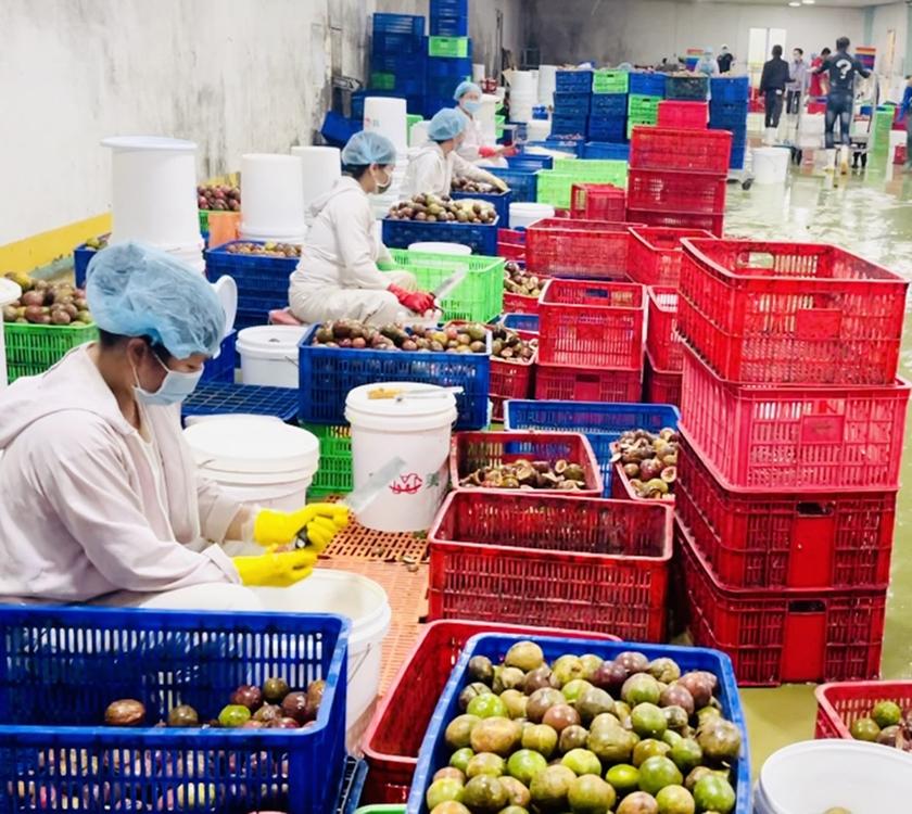 Rộng đường xuất khẩu hàng hóa vào thị trường lớn