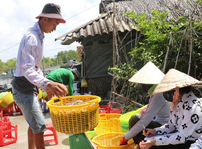 Cá tra, tôm nín thở chờ giá lên - Ảnh 2. Cá tra, tôm nín thở chờ giá lên - Ảnh 2.