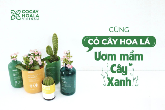 Cỏ Cây Hoa Lá - Mỹ phẩm thiên nhiên truyền cảm hứng sống xanh - Ảnh 3.