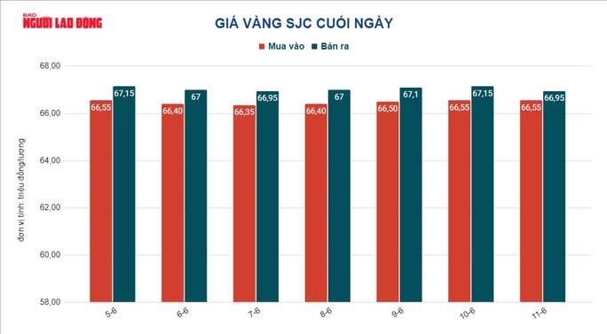 Giá vàng hôm nay 12-6: Rớt giá ngay khi vừa mở cửa - Ảnh 3.