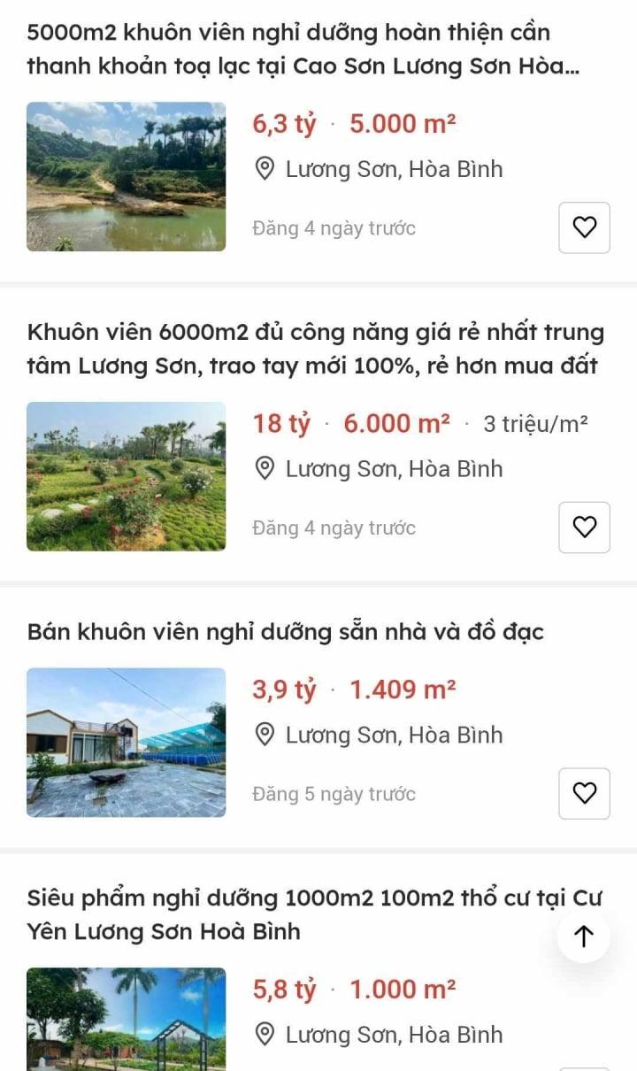 Qua thời ào ạt 'bỏ phố về rừng', homestay thất trận, nhà đầu tư đua nhau rao bán cắt lỗ - Ảnh 2.