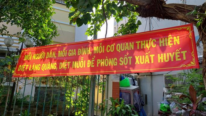 TP HCM: Hàng trăm ổ dịch tay chân miệng, lăng quăng ở khắp nơi - Ảnh 3.