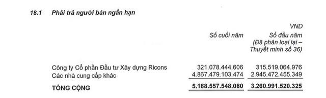 Giữa lúc "nước sôi lửa bỏng", Coteccons đang nợ Ricons bao nhiêu mà bị đệ đơn yêu cầu mở thủ tục phá sản? - Ảnh 2.