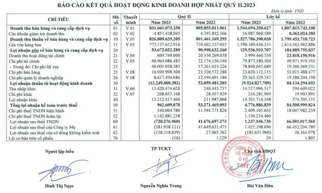 Đối thủ xe điện của Vinfast báo lỗ sau thuế quý II, nợ vay ngân hàng tăng hơn 40% - Ảnh 2.