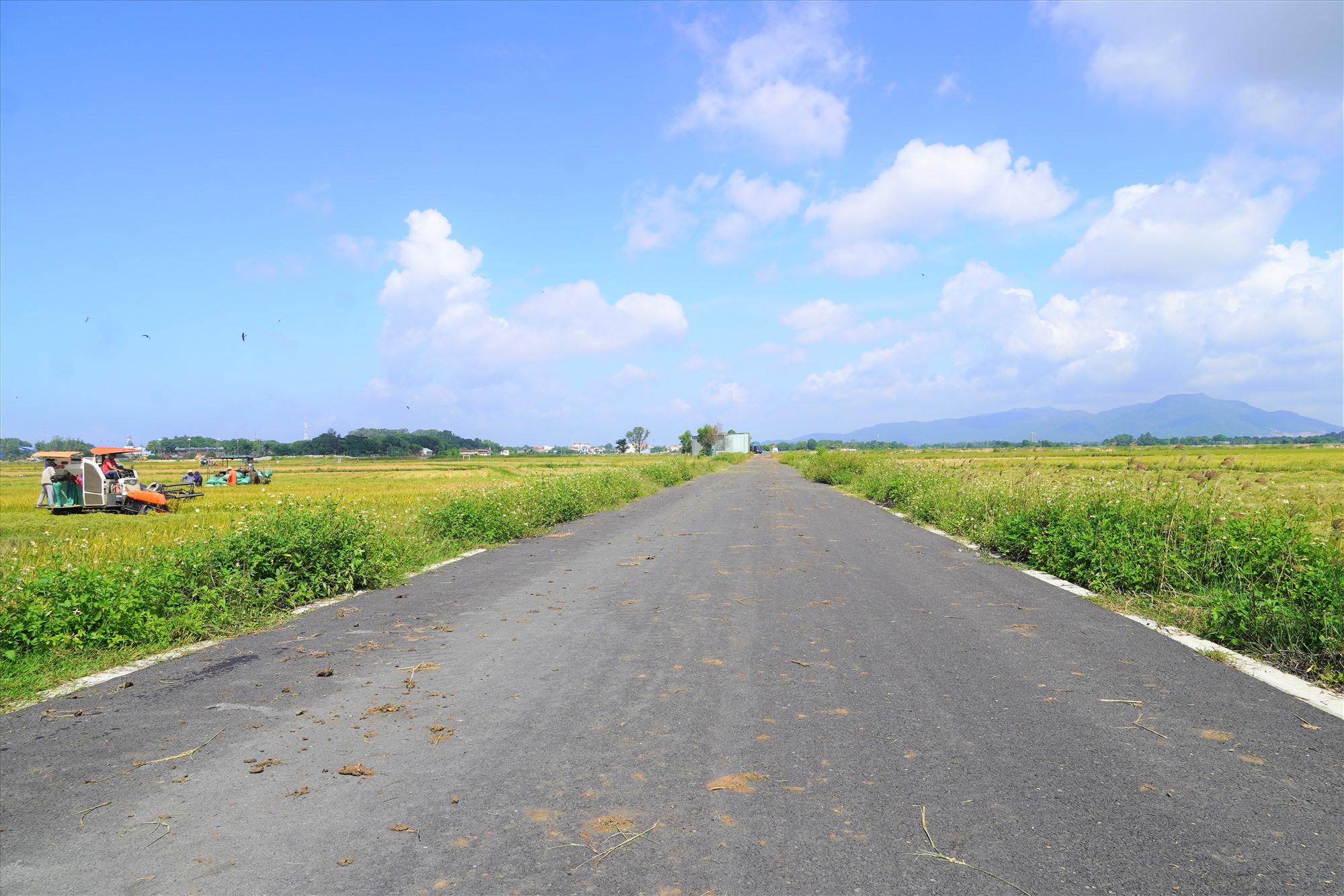 Trước đó, chính quyền địa phương đã đầu tư những tuyến đường nhựa xuyên qua những thửa ruộng, rất thuận tiện cho nông dân trong việc canh tác, thu hoạch lúa gạo. Ảnh: Thành An