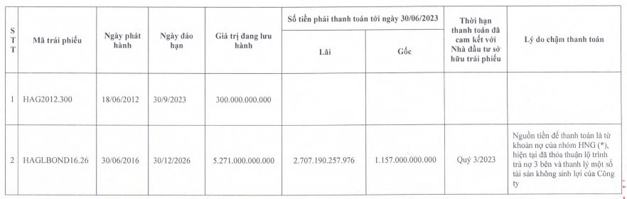 HAGL chưa thanh toán hơn 350 tỷ đồng tiền lãi trái phiếu cho BIDV trong nửa đầu năm, sẽ tất toán hơn 3.800 tỷ đồng trái phiếu vào quý 3/2023 - Ảnh 3.