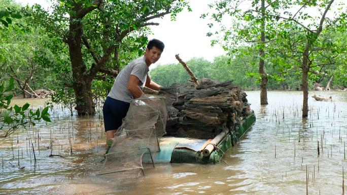 Nỗ lực trồng rừng được đền đáp - Ảnh 2.