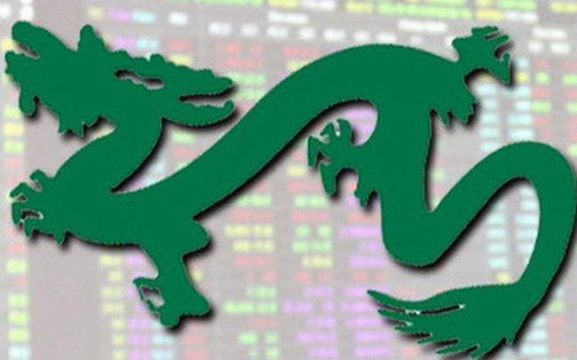 Dragon Capital: Rời khỏi thị trường tại thời điểm này không phải là quyết định tốt, biến động mạnh trong chu kỳ tăng giá không hiếm gặp - Ảnh 1.