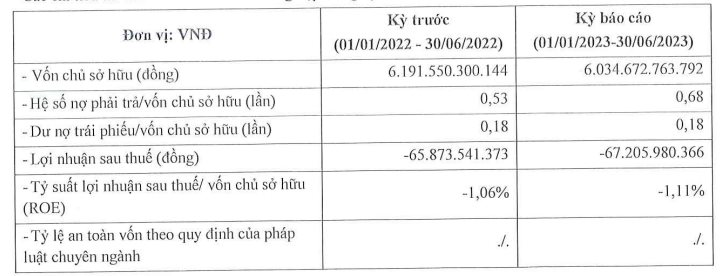 Công ty con có tổng tài sản hơn 10.000 tỷ của Novaland báo lỗ nửa đầu năm, chậm trả hơn 500 tỷ đồng gốc và lãi trái phiếu - Ảnh 2.