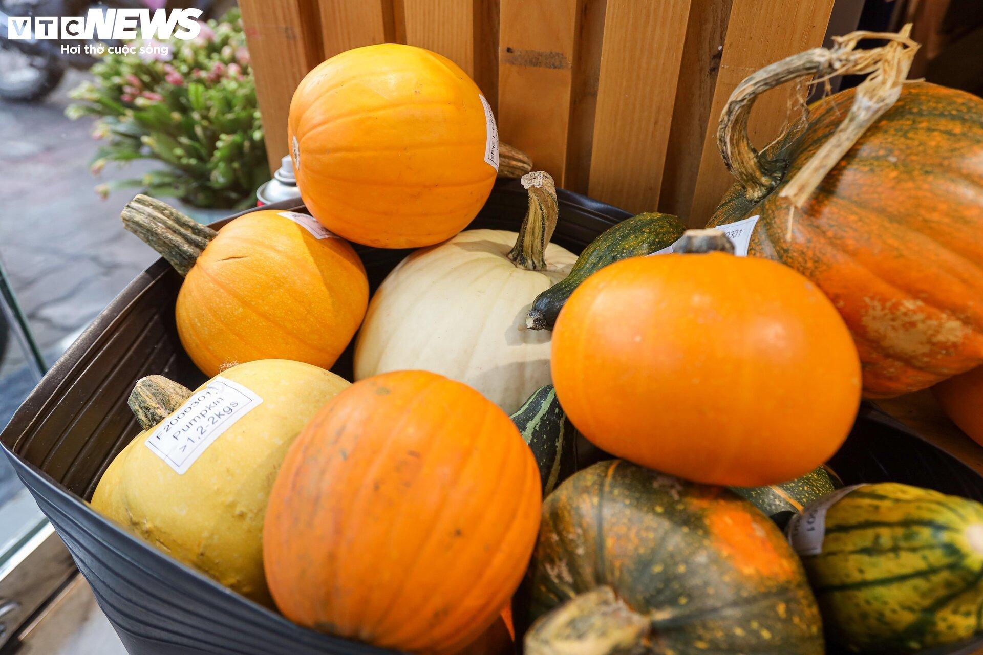 Khách lùng mua trang trí Halloween, bí ngô đủ loại cháy hàng - Ảnh 9.