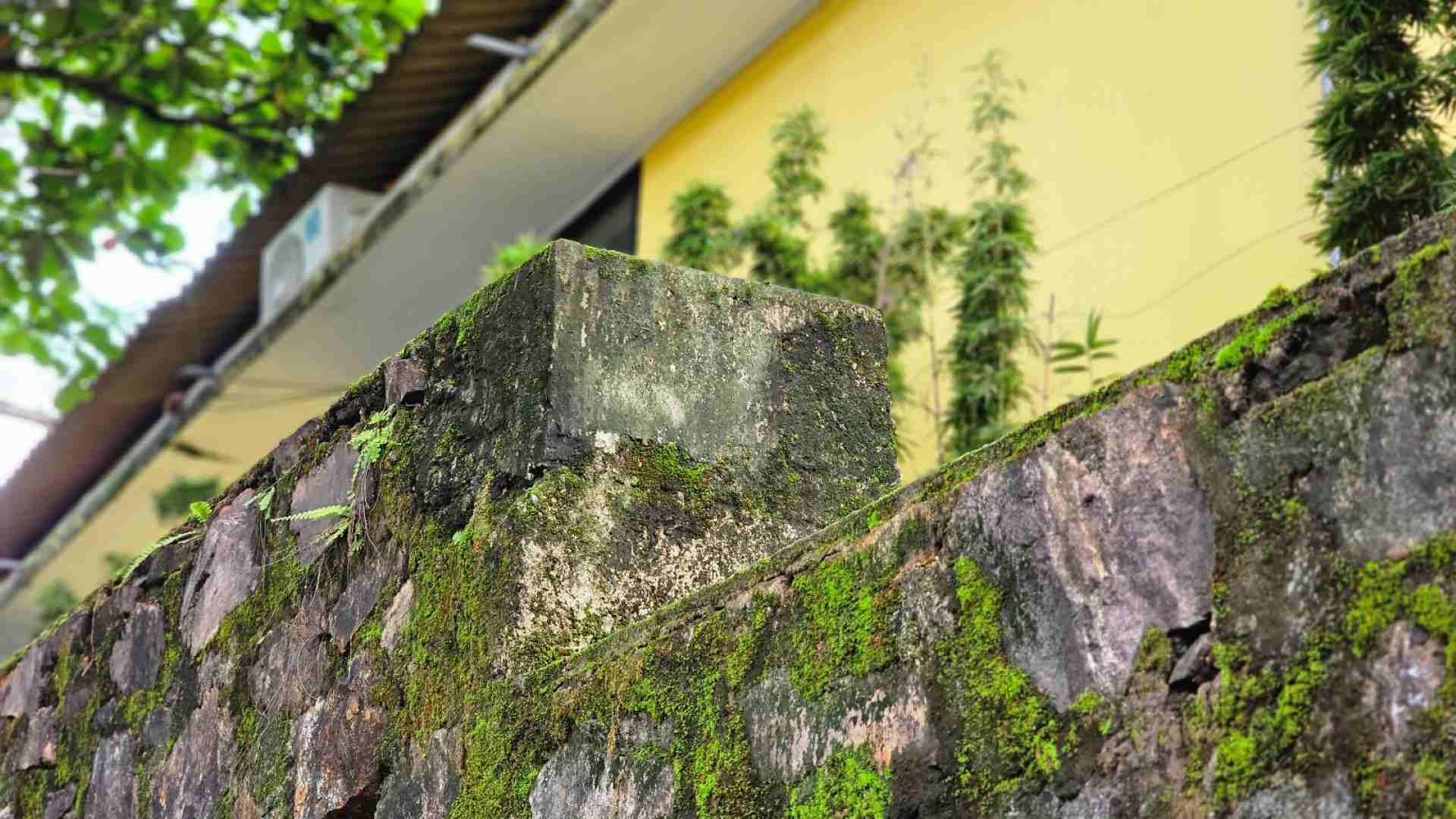 Không những quá cao mà dãy tường này còn có kích thước vô cùng lớn, có đoạn dày gần 40cm, nhưng cũng có đoạn dày 20cm, không cân đối, thiếu tính kết nối.