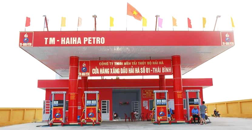 Hải Hà petro doanh thu “tỷ đô” nguồn tiền thu lớn vẫn chây ỳ nợ thuế - Ảnh 1.