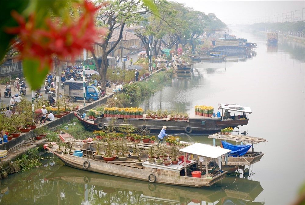 Ghe chở mai kiểng từ miền Tây lên bến Bình Đông (Quận 8) bán dịp Tết.  Ảnh: Anh Tú