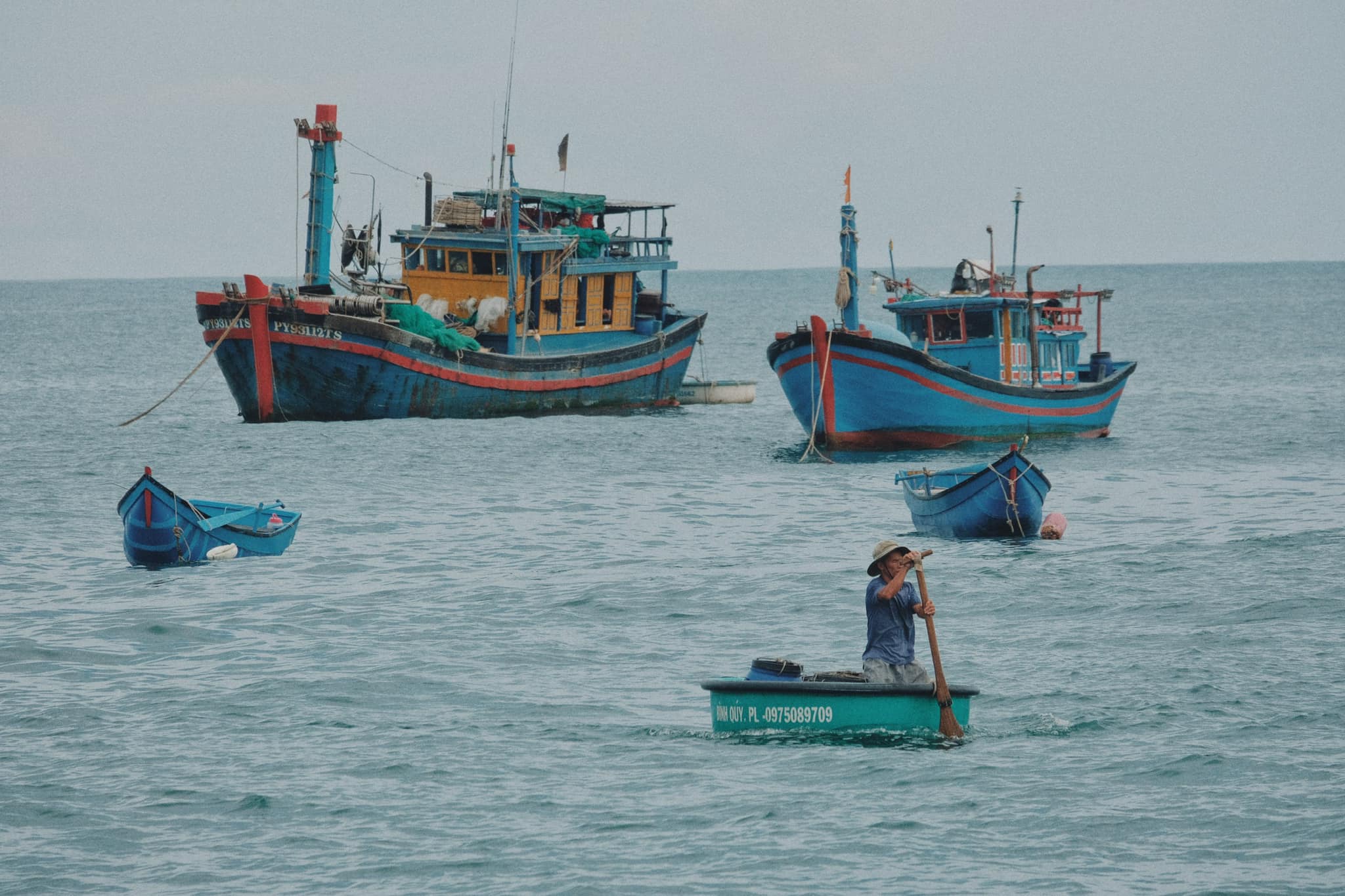 Gọi là bến cá nhưng quy mô hoạt động của nơi này không quá rộng, chủ yếu chỉ có dân địa phương hoặc các thương nhân thu mua phân phối đến các nhà hàng, quán ăn.