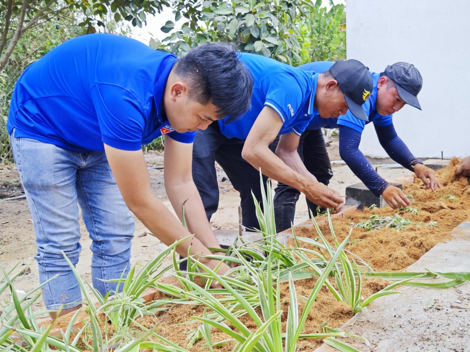 Đoàn Thanh niên PVOIL tổ chức chương trình “Ngày thứ bảy xanh”