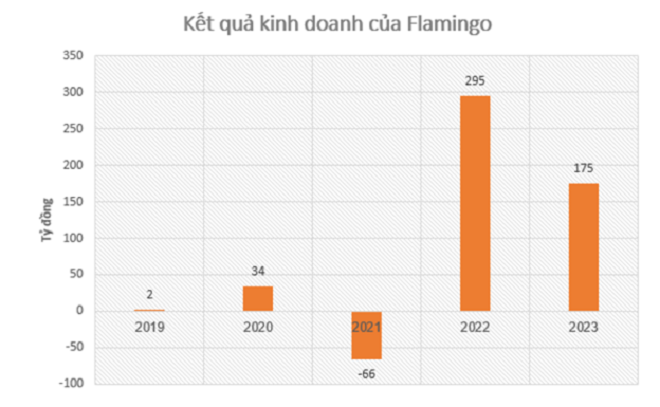 Flamingo báo lãi 175 tỷ đồng trong năm 2023, mở rộng đầu tư loạt dự án mới - Ảnh 2.