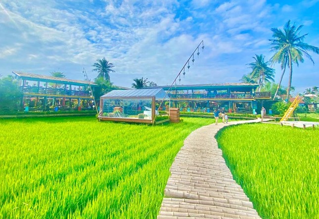 'Cởi trói' cho loại hình đất nông nghiệp kết hợp homestay, farmstay- Ảnh 1.