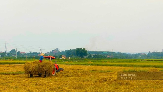 Giá chuyển đất nông nghiệp lên đất thổ cư theo Luật mới