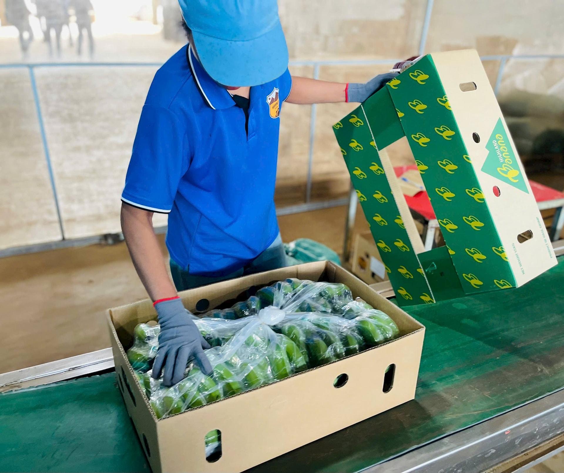 Tâm sự cổ đông 'đu đỉnh' HAG, cắt lỗ và mua lại vùng 2.000-3.000 đồng/cp: “HAGL đang thay đổi rất lớn mà nói ra thì mọi người không tin”- Ảnh 7.
