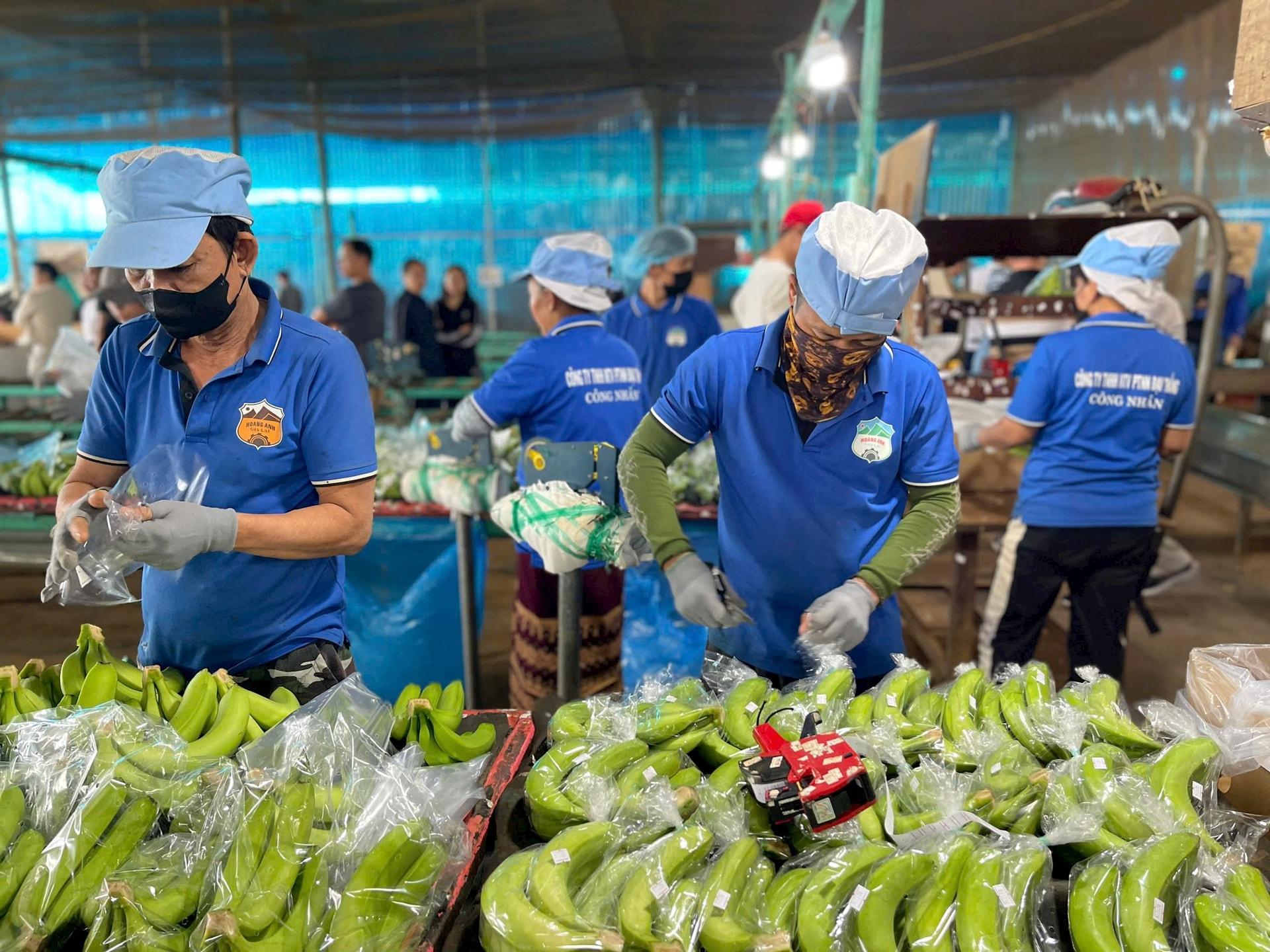Tâm sự cổ đông 'đu đỉnh' HAG, cắt lỗ và mua lại vùng 2.000-3.000 đồng/cp: “HAGL đang thay đổi rất lớn mà nói ra thì mọi người không tin”- Ảnh 6.