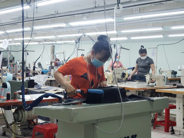 Đà Nẵng: Đảm bảo nhân lực cho thị trường lao động dịp cuối năm- Ảnh 1. Đà Nẵng: Đảm bảo nhân lực cho thị trường lao động dịp cuối năm- Ảnh 1.