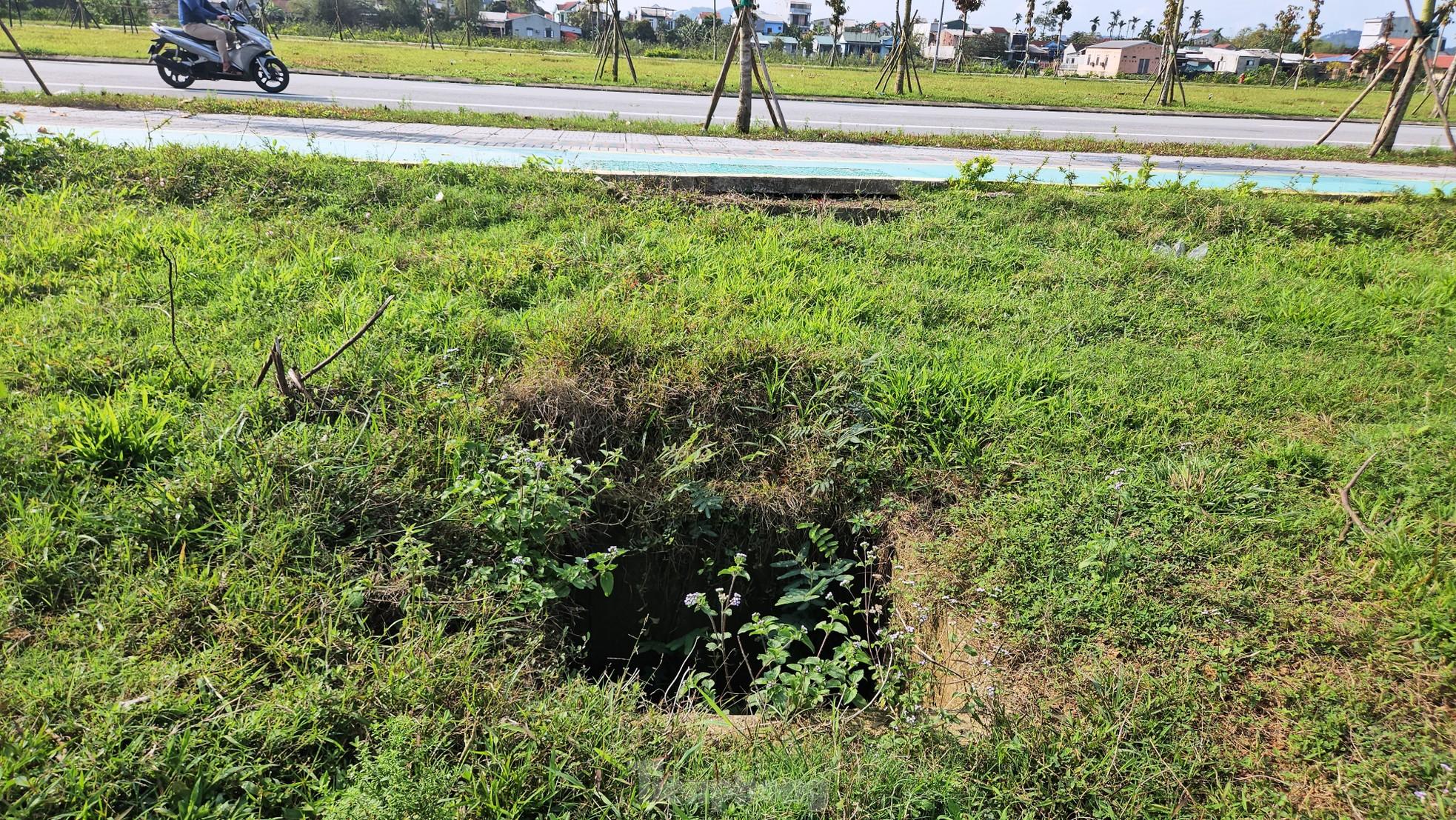 Quảng trường, công viên cây xanh 100 tỷ tại Huế nhếch nhác, thành nơi chăn thả trâu bò- Ảnh 11. Quảng trường, công viên cây xanh 100 tỷ tại Huế nhếch nhác, thành nơi chăn thả trâu bò- Ảnh 11.