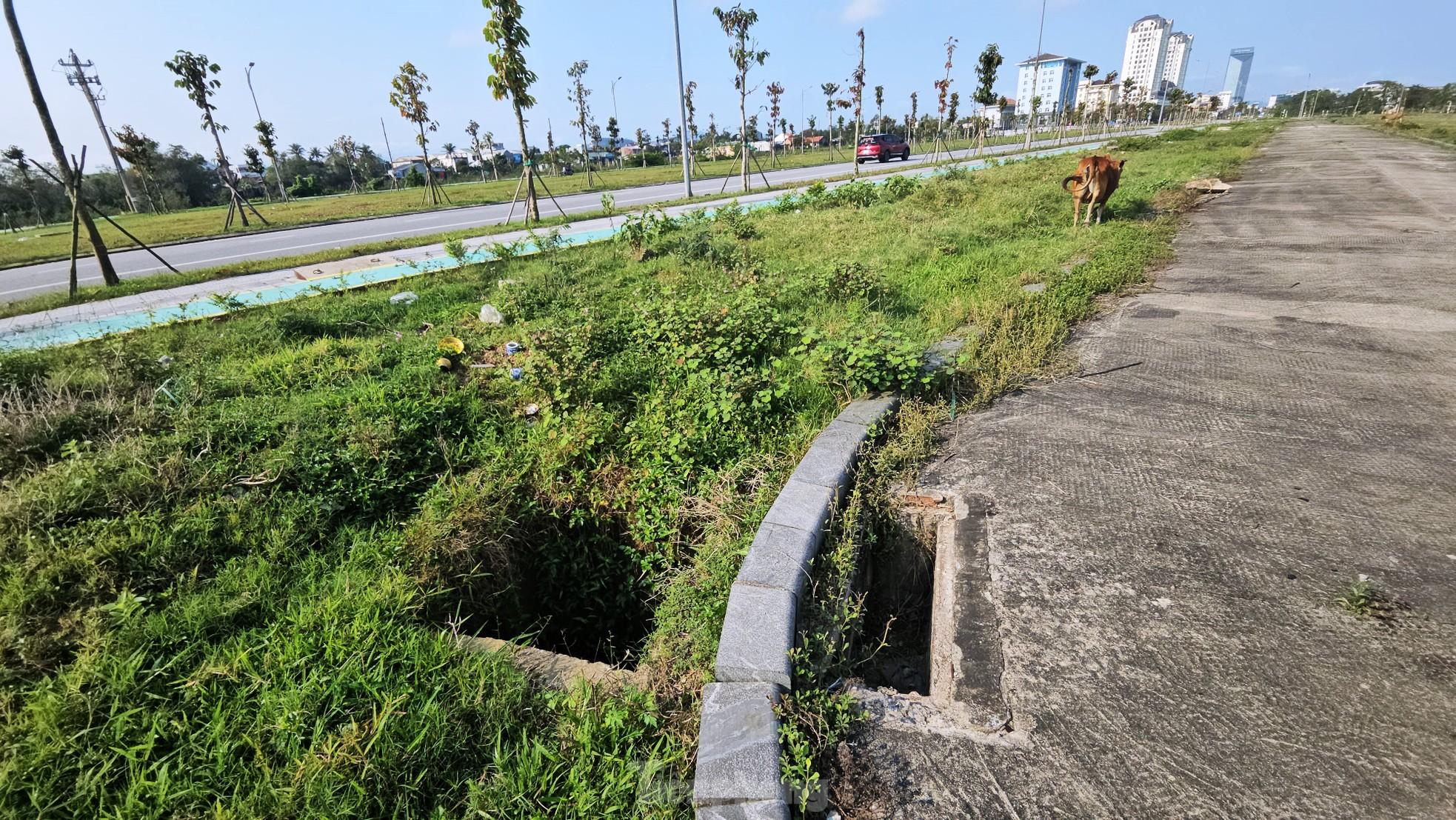 Quảng trường, công viên cây xanh 100 tỷ tại Huế nhếch nhác, thành nơi chăn thả trâu bò- Ảnh 9. Quảng trường, công viên cây xanh 100 tỷ tại Huế nhếch nhác, thành nơi chăn thả trâu bò- Ảnh 9.