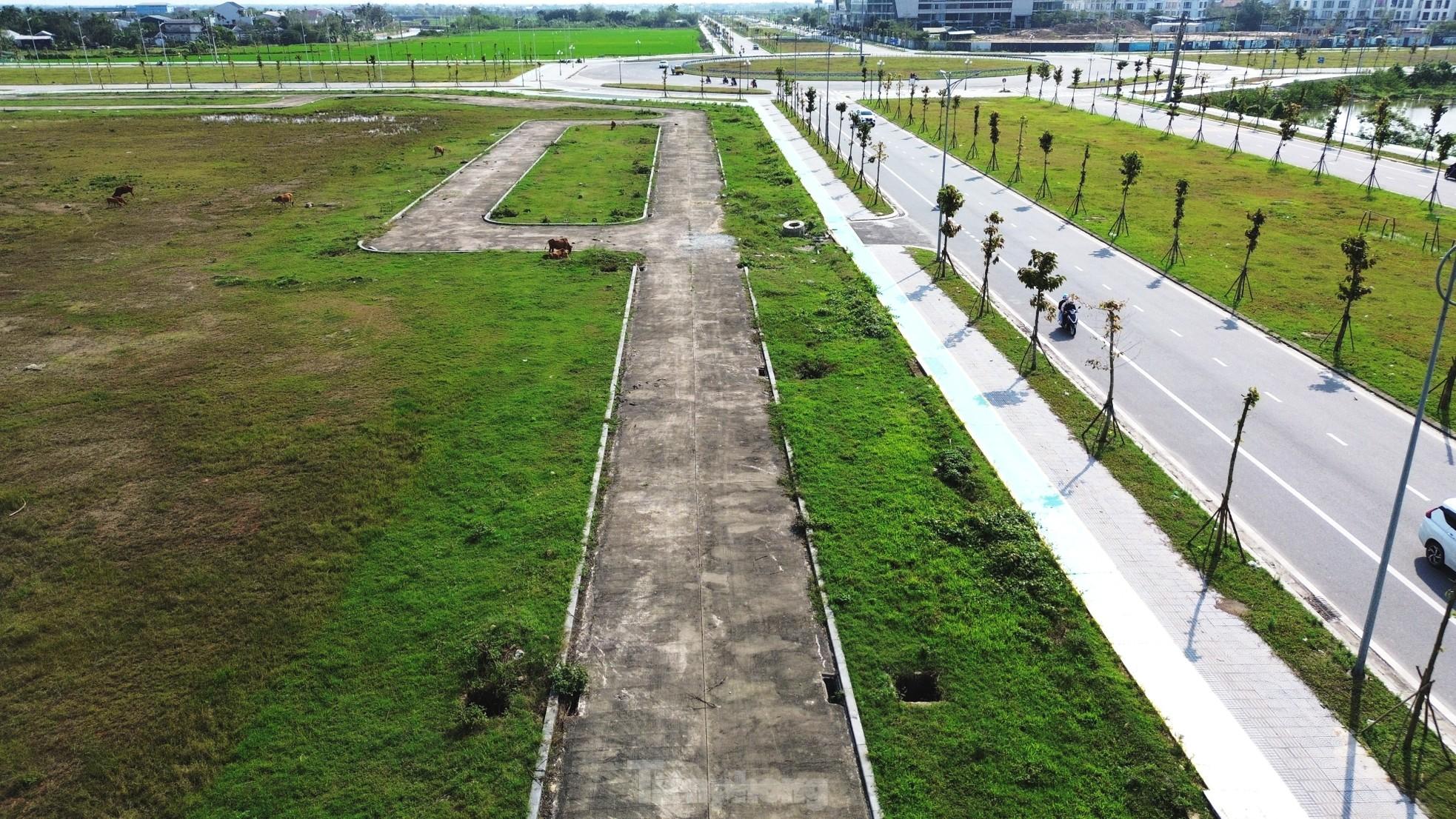 Quảng trường, công viên cây xanh 100 tỷ tại Huế nhếch nhác, thành nơi chăn thả trâu bò- Ảnh 15. Quảng trường, công viên cây xanh 100 tỷ tại Huế nhếch nhác, thành nơi chăn thả trâu bò- Ảnh 15.
