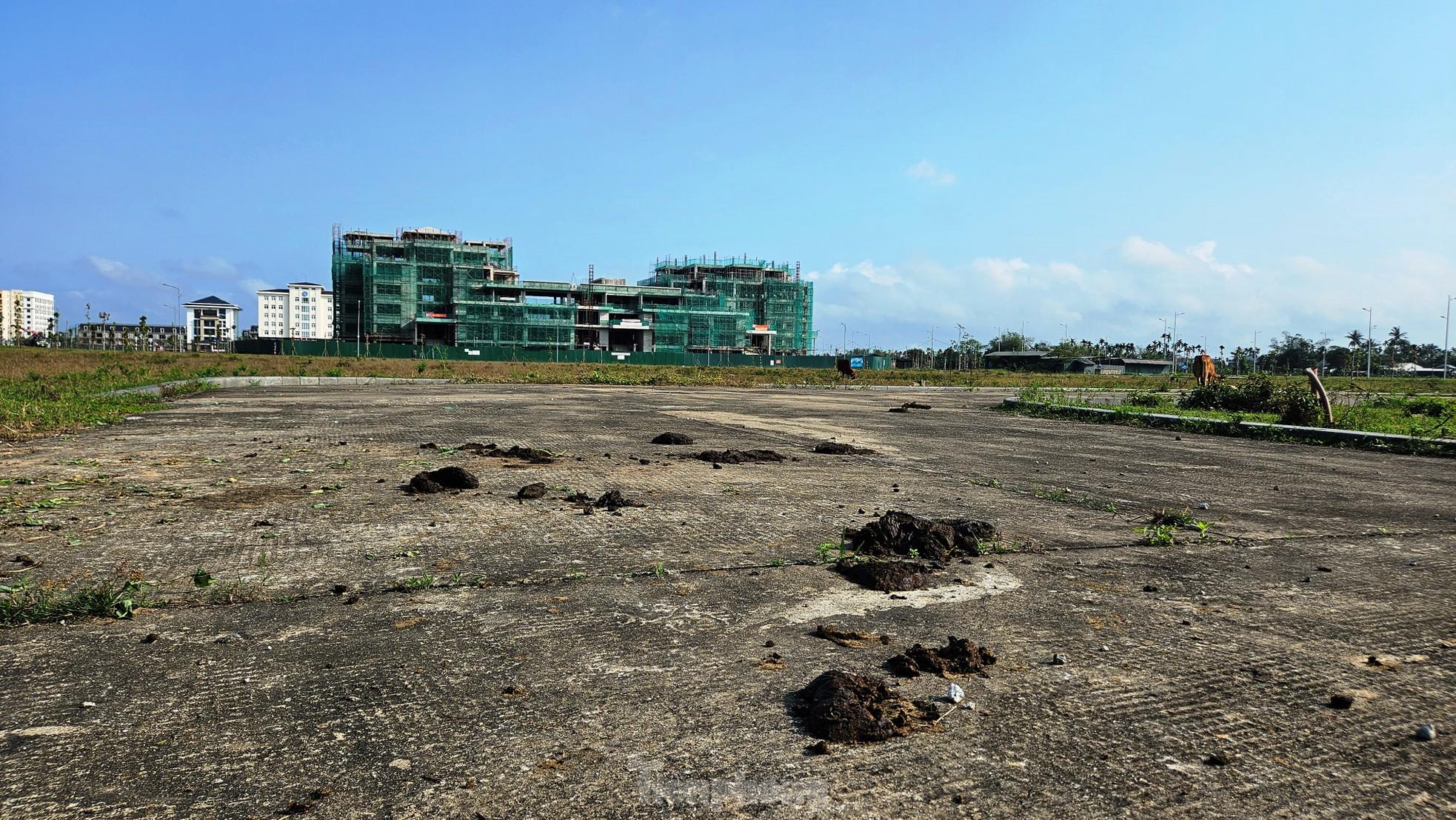 Quảng trường, công viên cây xanh 100 tỷ tại Huế nhếch nhác, thành nơi chăn thả trâu bò- Ảnh 8. Quảng trường, công viên cây xanh 100 tỷ tại Huế nhếch nhác, thành nơi chăn thả trâu bò- Ảnh 8.