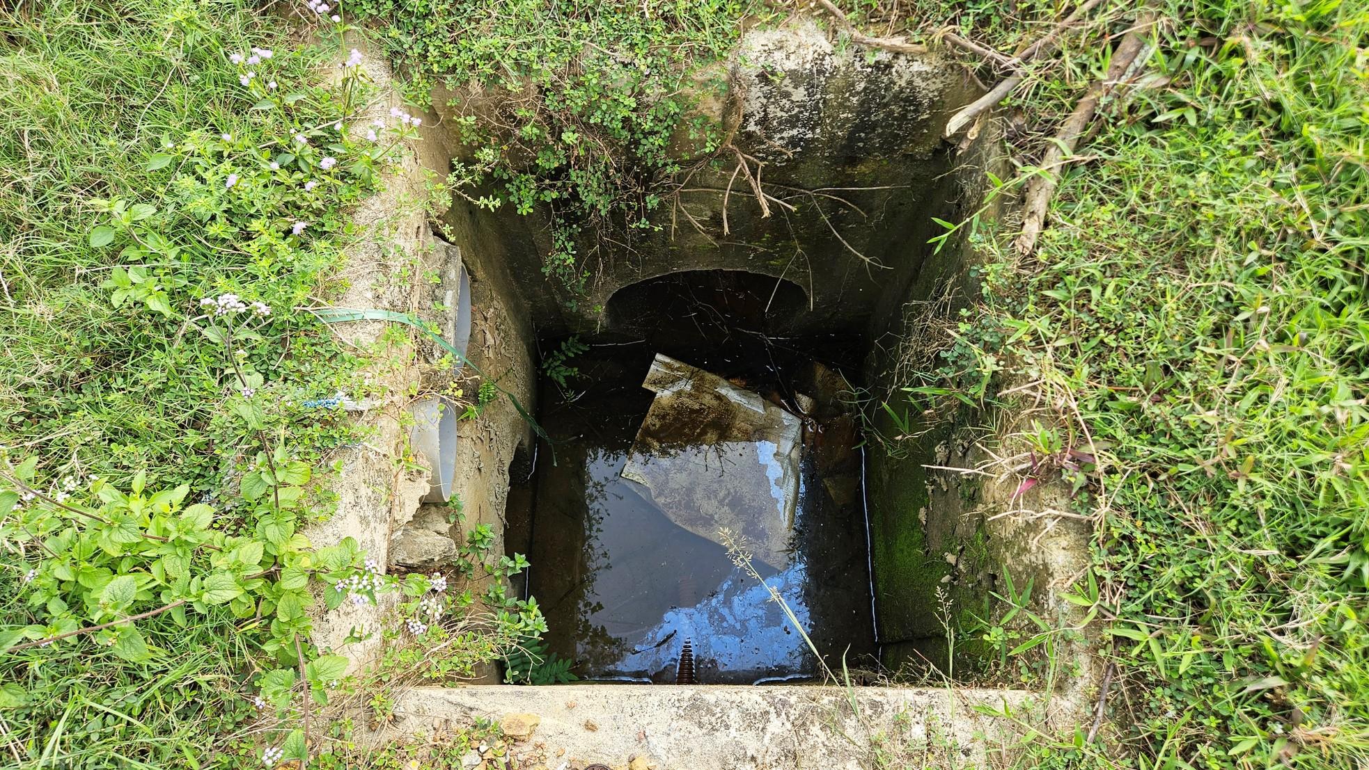 Quảng trường, công viên cây xanh 100 tỷ tại Huế nhếch nhác, thành nơi chăn thả trâu bò- Ảnh 10. Quảng trường, công viên cây xanh 100 tỷ tại Huế nhếch nhác, thành nơi chăn thả trâu bò- Ảnh 10.