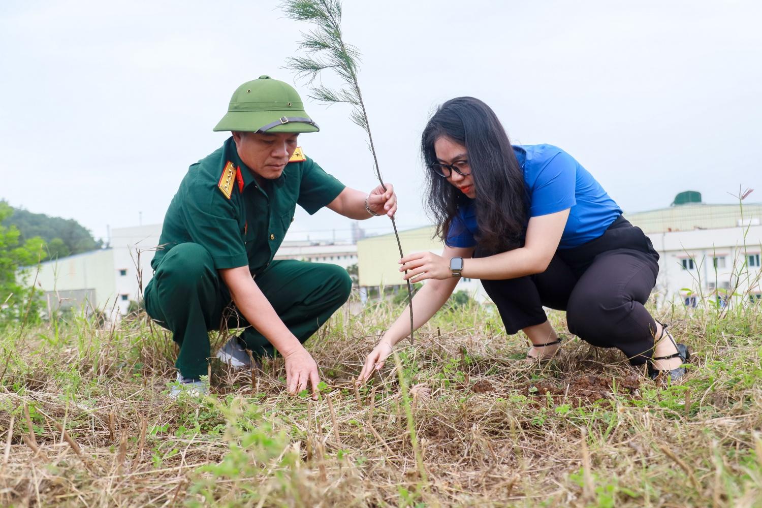 Khoảng 3.000 cây Phi Lao đã được các CBCNV tham gia trồng tại đường dẫn lên Đài Quan sát NMLD Dung Quất (Đồi Cây Sấu).