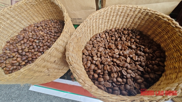 Giá cà phê hôm nay 26-3: Bật tăng mạnh mẽ- Ảnh 1. Giá cà phê hôm nay 26-3: Bật tăng mạnh mẽ- Ảnh 1.