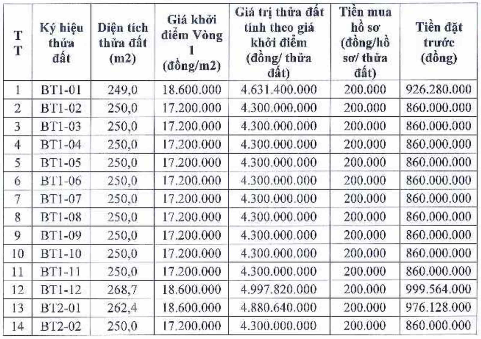 Thông tin các thửa đất trong phiên đấu giá ngày 5.5. Ảnh chụp màn hình