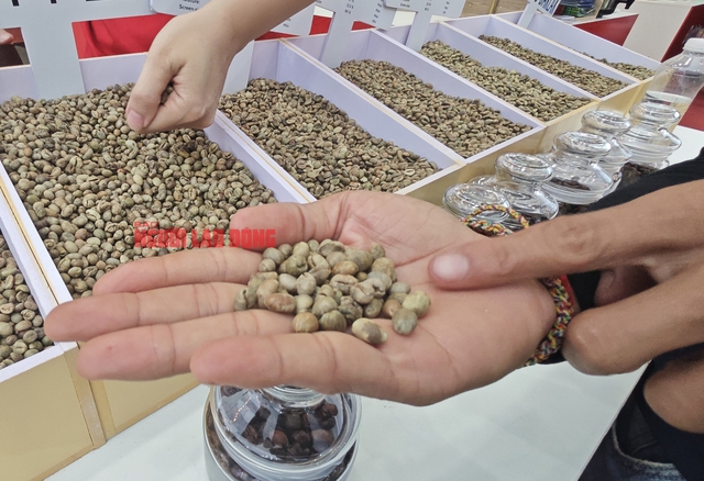 Giá cà phê hôm nay 16-5: Mất mốc quan trọng- Ảnh 1. Giá cà phê hôm nay 16-5: Mất mốc quan trọng - Ảnh 1.