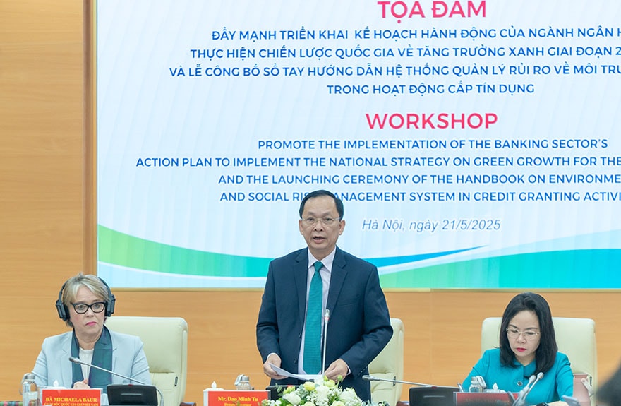 Phó Thống đốc Thường trực Ngân hàng Nhà nước Đào Minh Tú phát biểu