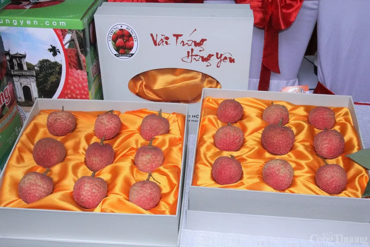 Hưng Yên: Khai mạc phiên chợ vải cùng nhiều sản phẩm OCOP Hưng Yên: Khai mạc phiên chợ vải cùng nhiều sản phẩm OCOP