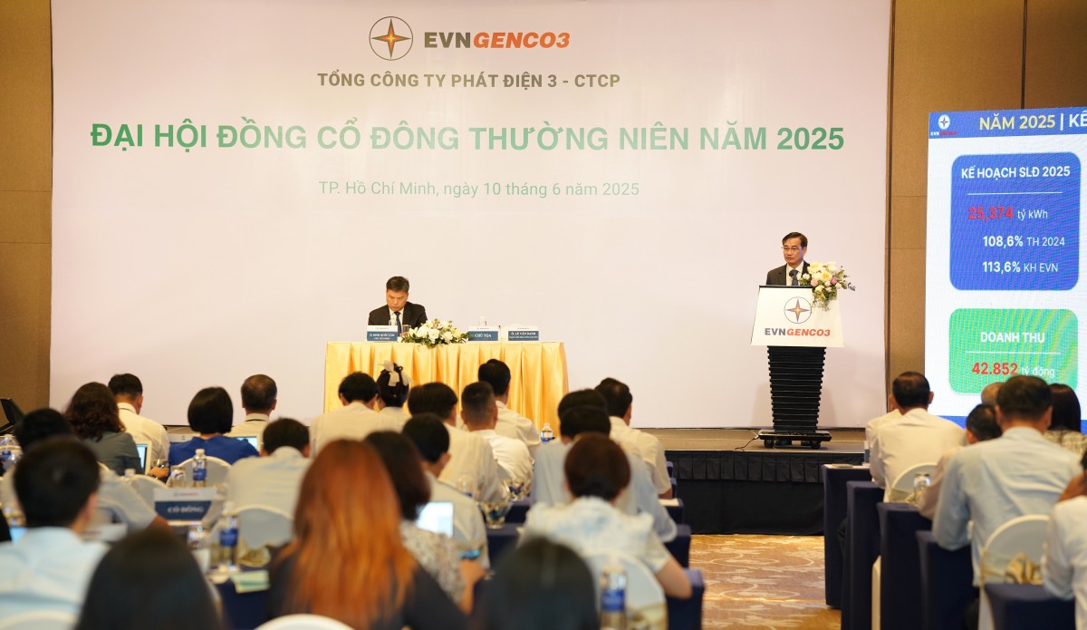 Tổng công ty Phát điện 3 phấn đấu hoàn thành kế hoạch năm 2025